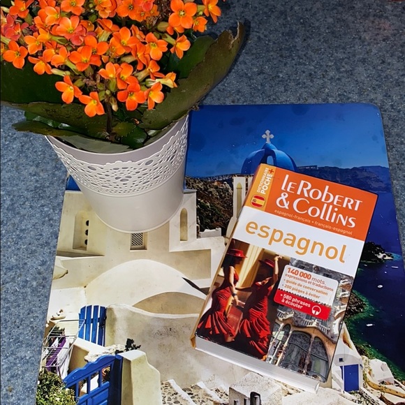 Other - Dictionnaire Francais Espagnol